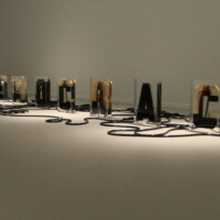 Andrei Molodkin, DEMOCRACY, 2008, acrylic blocks and plastic hoses filled with crude oil, pumps, compressor