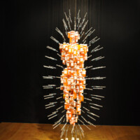 Daniel Goldstein, "Medicine Man 2", 2010, mixed media installation