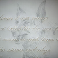 James Drake, "The Dog That Killed the Dog", 2009, Graphite on hand-cut paper