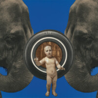 Ann Harithas, "Elephant Cherub Tire", 2012, Digital collage on plex and gold leaf on painted canvas, 48” x 67”
