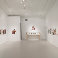 Fabio D'Aroma, Installation view, Station Museum of Contemporary Art, 2012