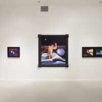 Lynn Randolph, Installation view, Station Museum of Contemporary Art, 2012