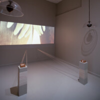 Serena Lin Bush, "Affinities", 2009 - 2012, installation with 2-channel projection and 2 concurrently running audio tracks
