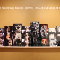 Celia Alvarez Muñoz, "Semajante Personajes / Significant Personalities", 2002 - 2012, Digital Holgas 41 prints 14” x 30“ - 40”, Installation dimensions vary