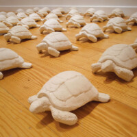 MAHMOUD AL-OBAIDI, "Turtles", 2005, paste, sand, and gypsum, 48 sculptures each 3.9” x 6.5” x 9.4”, installation dimensions vary