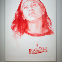 James Drake, "Red Gabriella", 2010, Pastel on paper