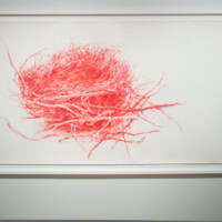 James Drake, "Red Nest", 2010, Pastel on paper