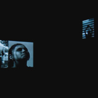 James Drake, "Tongue-Cut Sparrows", 2007, 2 channel video, installation photo
