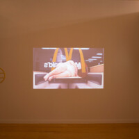 Yoshua Okón, "Freedom Fries", Installation view Station Museum of Contemporary Art, 2015