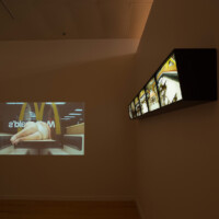 Yoshua Okón, "Freedom fries: Still Life", 2014, Video installation